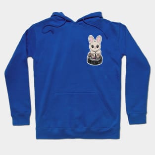 Puck Bunny (New York - MSG) Hoodie